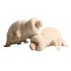 25cm Cute Tardigrade Plush Dolls Simulation Plush Toys Deep Sea Creatures Pillow Kids Educational Toy Birthday Gifts