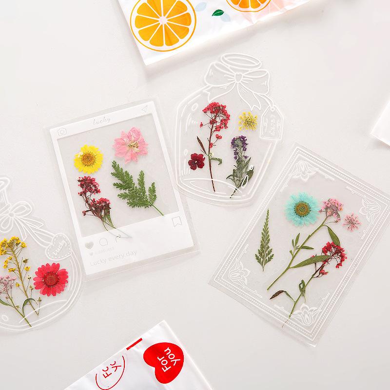 Handmade Pressed Flower Bookmark DIY Kit: Real Dried Flowers, Creative Craft, Unique Plant Specimen, Perfect Small Gift