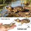 Solid Cute Animal Models: Squirrel, Shiba Inu, Teddy, Hamster, Panda, Flying Squirrel Car/Desktop Ornaments