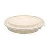 Eco-Friendly Biodegradable Disposable Oval Dumpling Takeaway Containers