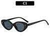 Trendy Small Frame Oval Cat Eye Sunglasses for Men Women Candy Gradient Lens Transparent White Fashion Versatile Sunglasses