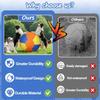 Jolly Ball with Protective Cover & Pump Dog Ball To Keep Them Busy for Collie  Shepherd All Herding Breeds