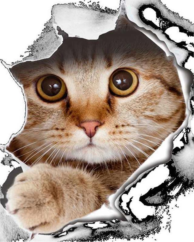 Diamond Painting Full Flower Tree Cat 5D DIY Diamond Embroidery Full Set Sale Animal Cross Stitch Rhinestones Mosaic Handicraft