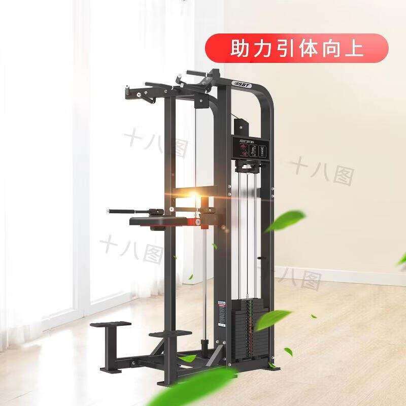 TS11 Single Parallel Bar Dip Station
