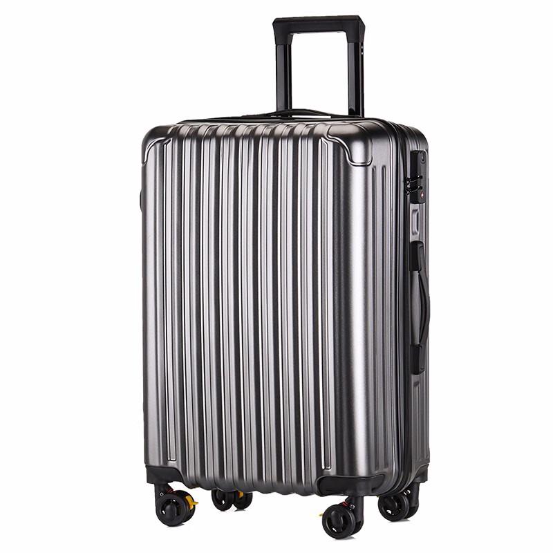 Walk Through Time Hardside Spinner Luggage 20-inch