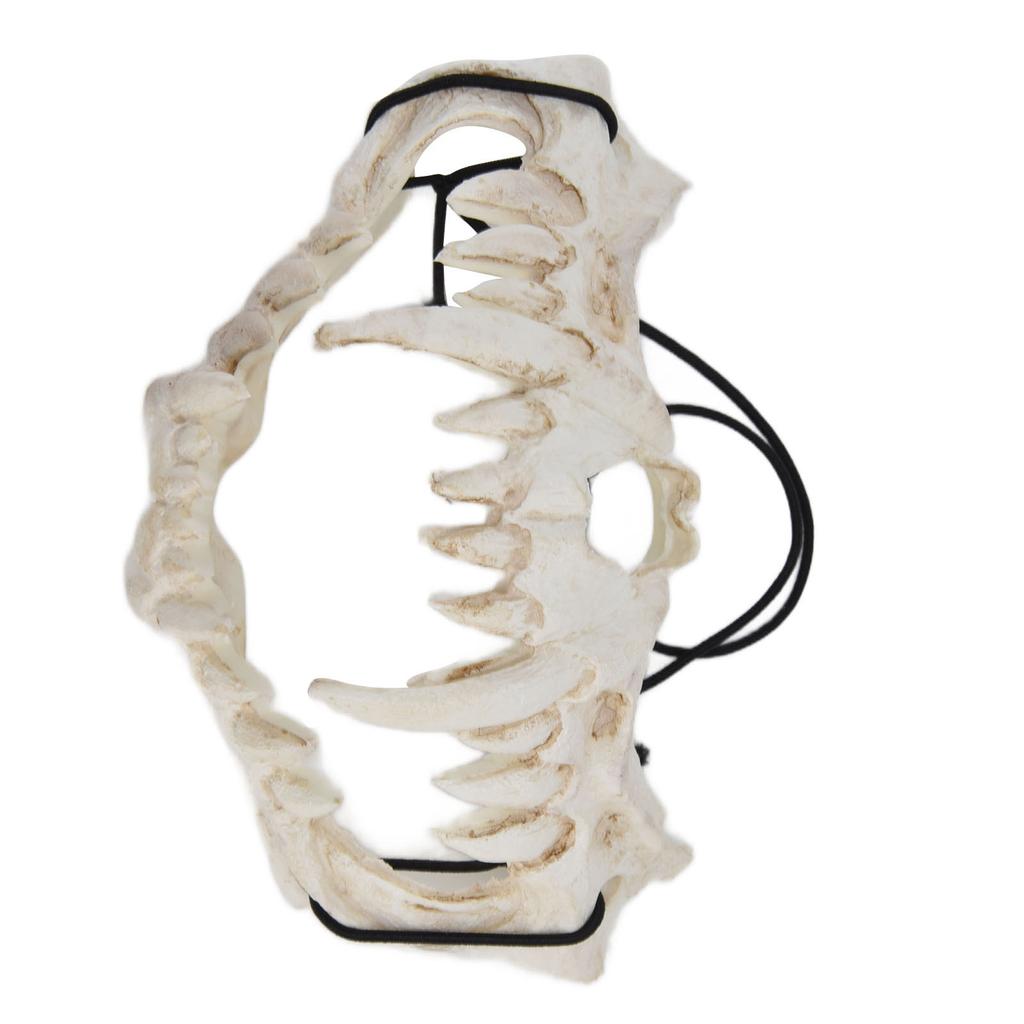 Skull Mask Latex Tiger Tooth Type Durable Waterproof Adjustable Scary Mask for Party Festival
