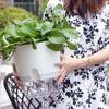 Plastic Lazy Hydroponic Flower Pot Self Watering Hydroponics Plants Pot Double Layer Cotton Rope Watering Succulent Planters
