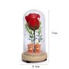 Cartoon cute couple bear desktop ornament, eternal flower glass cover luminous led night light home decoration