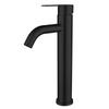 TLXT 304 Stainless Steel Black High-Arc Basin Faucet