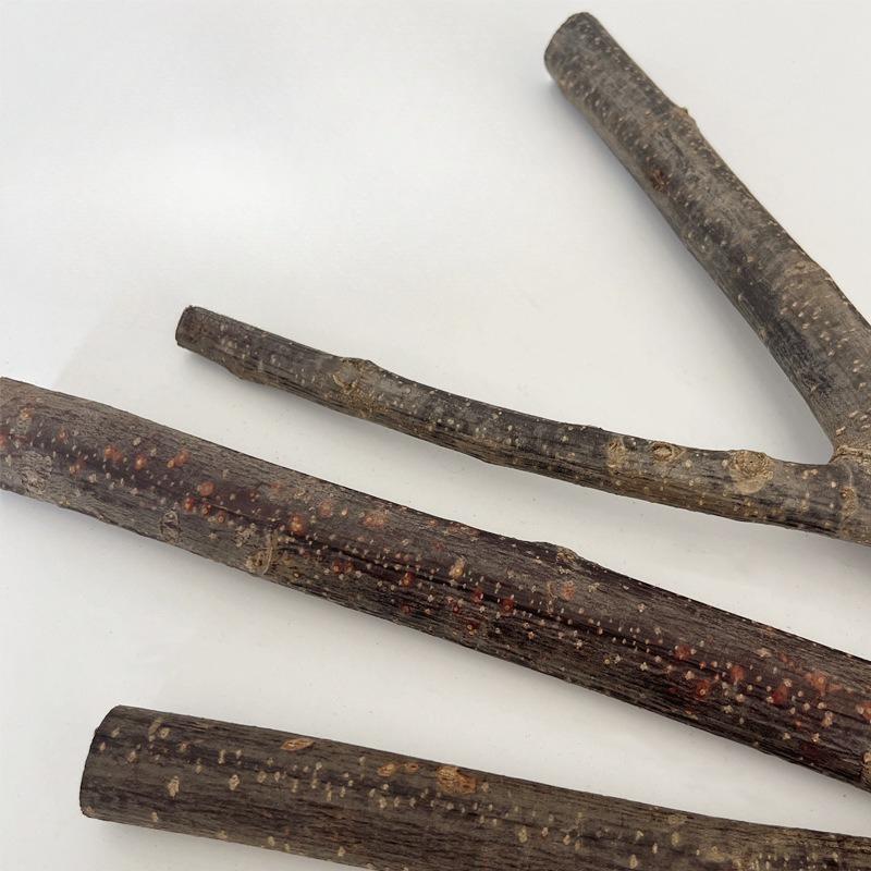 Pfingstrose, Schwarzer Phönix, Papagei, Baumast, Saugnapf, Stationsstange, Hölzerne Stationsstange, Vogelzuchtprodukte, Interaktiver Stationsständer