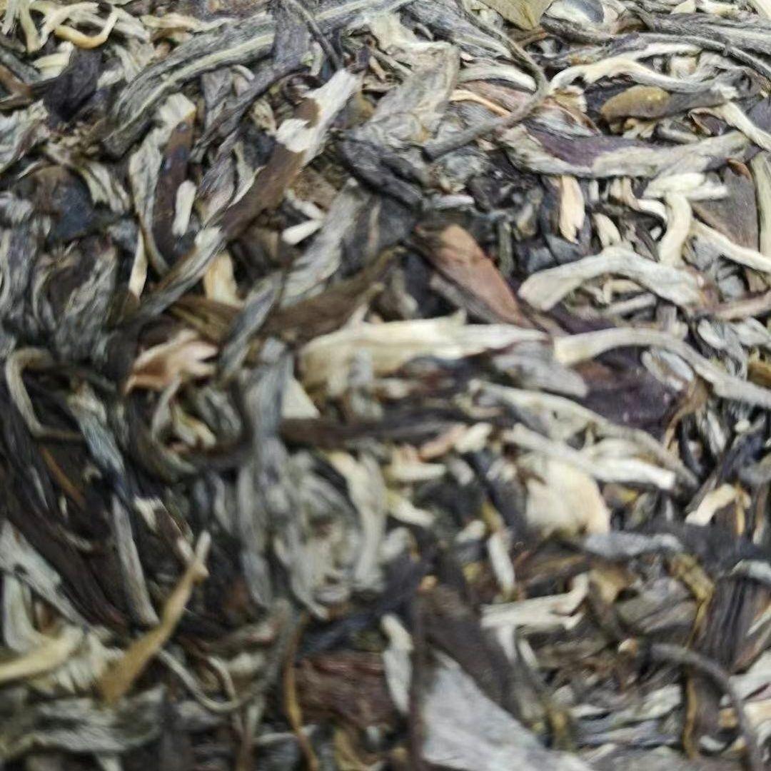 Юньнаньский ранний весенний исландский сырой чай пуэр — фото 5