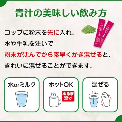 NIHON YAKKEN Super Fruit Green Juice Diet 30 X 2 Lactic Acid Bacteria Enzyme Yeast Hyaluronic Acid Collagen Vitamin Mineral Domestic