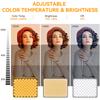 LED Photography Video Light Professional Panel Lighting Photo Studio Lamp Kit For Shoot Live Streaming Youbube Tiktok Makeup