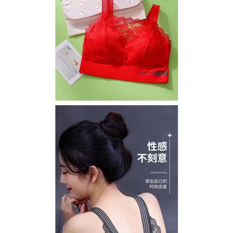 Wireless Chest Padded Plus Size Lace Beauty Back Bra For Women