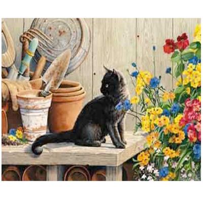 Pittura Diamante Gatto Kit Ricamo Diamante Punto Croce Pittura Punti Diamante Mosaico