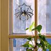 Creative Simulation Spider Web Balcony Glass Home Beautification and Decoration Electrostatic Window Stickers