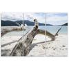Three Piece Picture Canvas Print Sea Sand Beach Tree