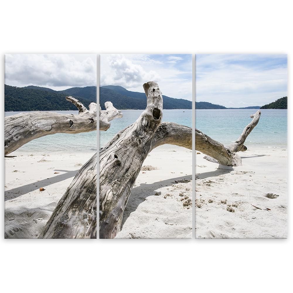 Three Piece Picture Canvas Print Sea Sand Beach Tree