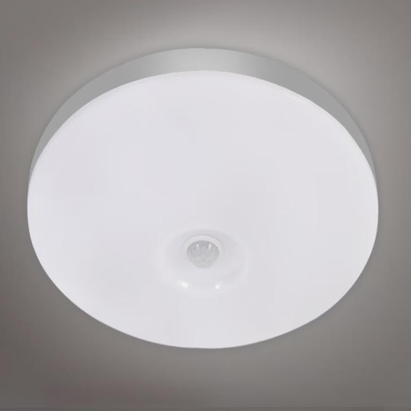 OEING Motion Sensor LED Ceiling Light (Pack of 2)