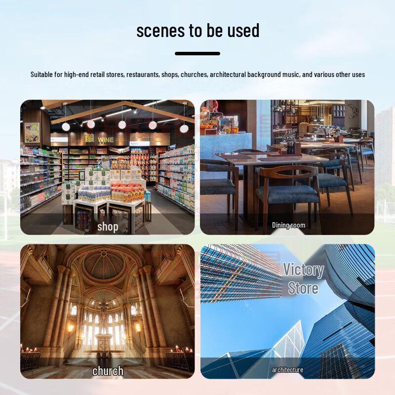 TAKSTAR Professional Constant Voltage Wall-Mounted Column Speaker