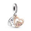 Intwined Infinite Heart Double Dangle Charm 781020C01