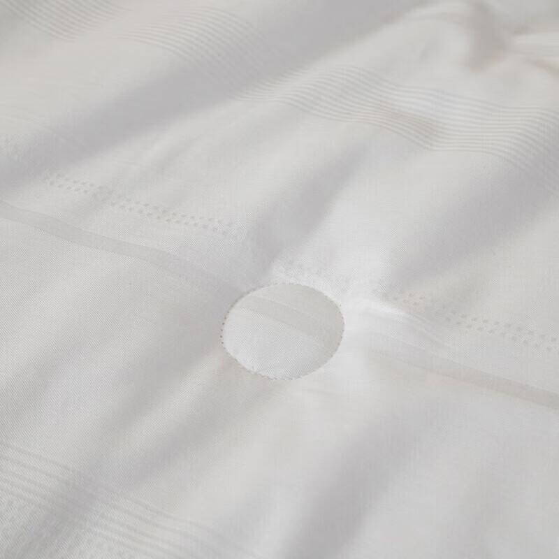 Muji Silk Milk Fiber All-Season Two-in-One Duvet