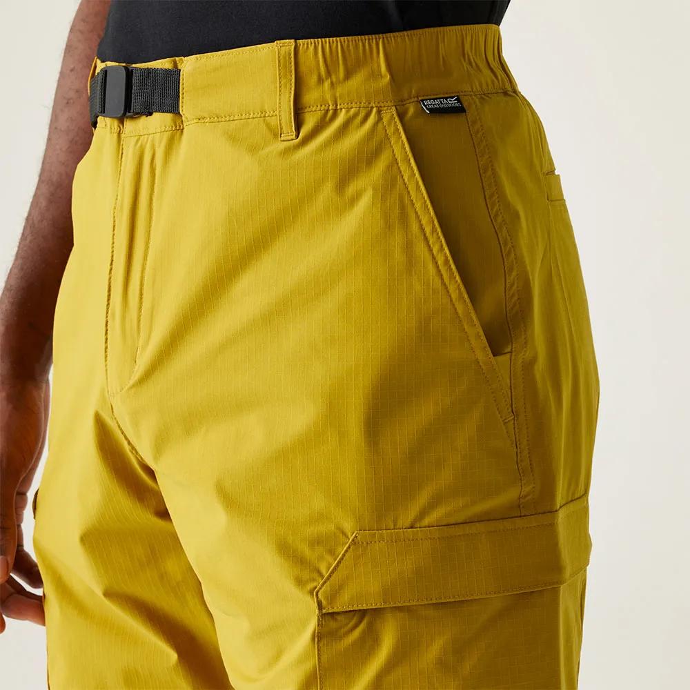 Regatta Mallen Shorts