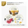 [Cushion Foundation for Sensitive Skin] Favs Calming Glow Up Cushion Foundation 15g VANILLA Cushion Foundation SPF50 PA+++ Favs Fable