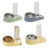 2-in-1 Pet Feeder Tilted Dog Food Bowl with 700ml Automatic Water Dispenser Stainless Steel Bowl Food And Water Feeder for Cats Dogs