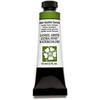 Daniel Smith Daniel Smith Watercolor Paint 15ml Tube (Green Apatite Genuine) 284600197