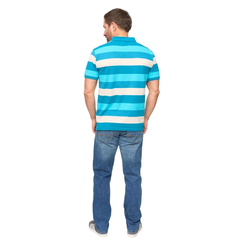 Bewley & Ritch Mens Hadley Striped Polo Shirt
