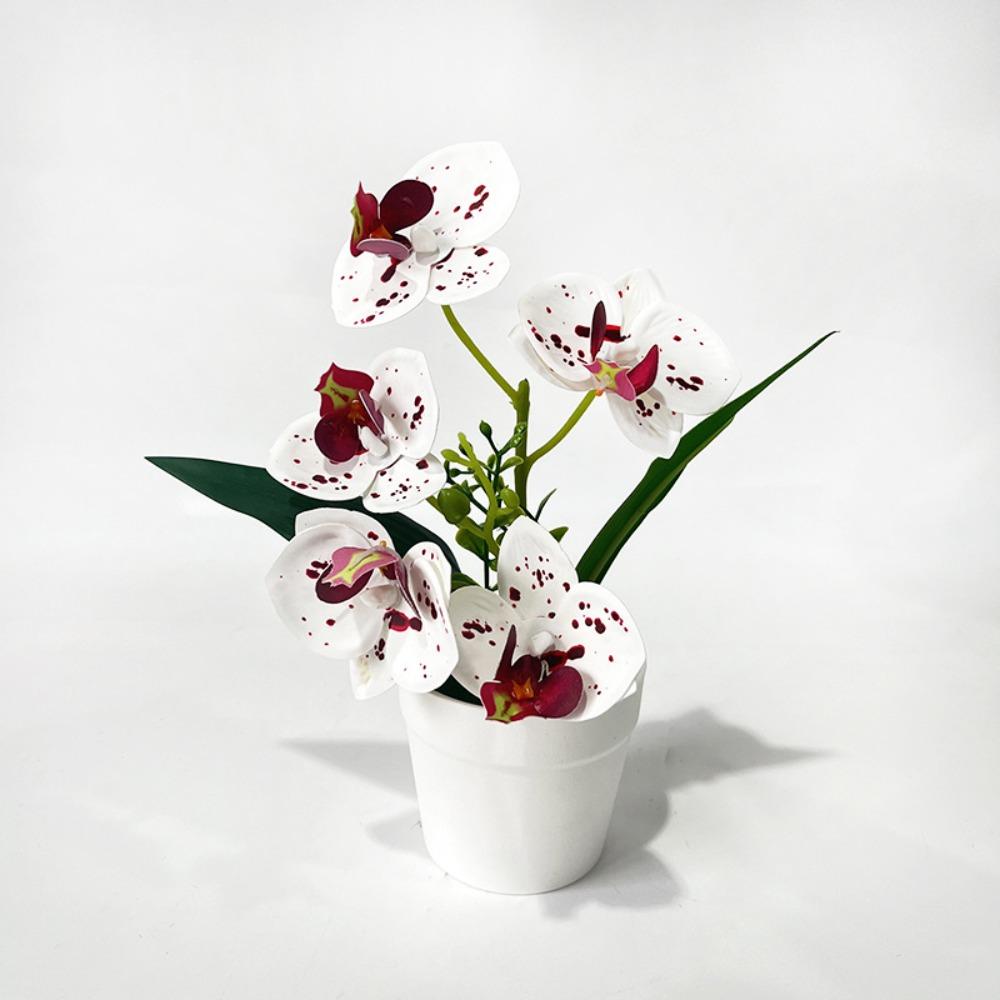 5 Blooms Phalaenopsis Orchid Decor Realistic Tabletop Floral Centerpiece Table Centerpiece Style1