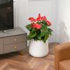 Nordic Creative Self-Watering Large Round Rattan Style Indoor Flower Pot for Green Plants