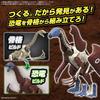 BANDAI SPIRITS (Bandai Spirits) Planosaurus Sterizinosaurus Color Coded Plastic Model