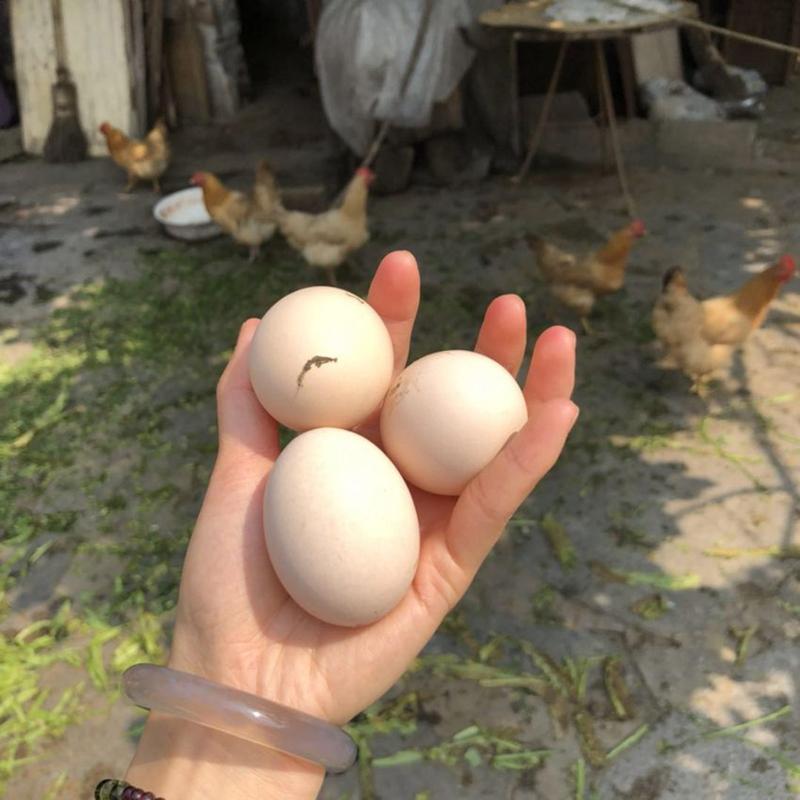 Silicone Egg Tray Storage Epoxy Casting Molds Egg Holder Resin Molds for DIY Art Resin Craft Refrigerator Kitchen