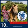 Comprehensive Horse Grooming Kit: Brushes, Comb, Sweat Scraper & More