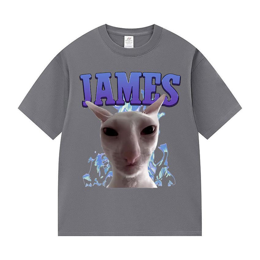 James IAMES Funny Cat Meme Tshirts Stupid Joke Gifts Cat Lover short sleeve tshirt Unisex Women fashion Oversized Cotton T Shirts
