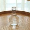 Transparenter Blumentopf Vase Hydrokulturbehälter Miniaturlandschaft Kunststoff Öko-Flasche Heimdekoration