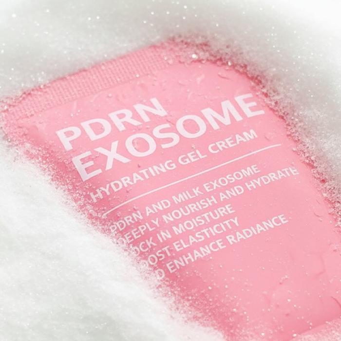 WellDerma PDRN Exosome Hydrating Gel Cream 100ml