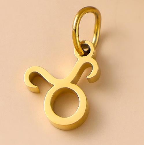 SUNIBI Stainless Steel Star Zodiac Sign 12 Constellation Pendant Accessories for Necklace Women Man Jewelry Gifts