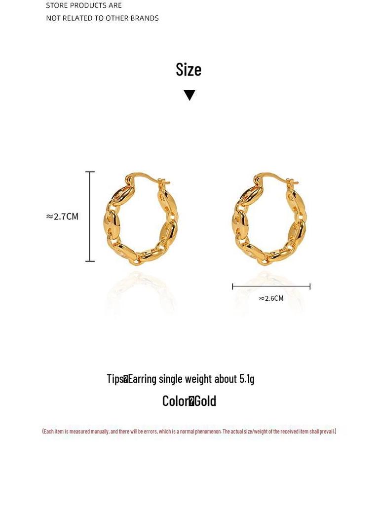 European-American Metal Style Pig Nose Chain Earrings: Women's Fashion, Versatile, Light Luxury, High-Quality Jewelry.