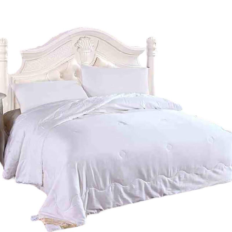 Yiyiai 100% Mulberry Silk Quilt