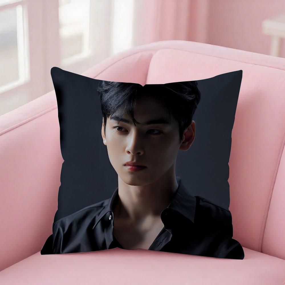 Singer C-Cha Eun-Woo Pillow Case Square Double-Sided Printing Sofa Cushion Cover Bedroom Bedside Pillowcover