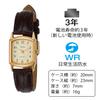 Citizen Q&Q Women's Waterproof Watch Brown Leather Band Stylish Lightweight Analog Square Gold QA69-103