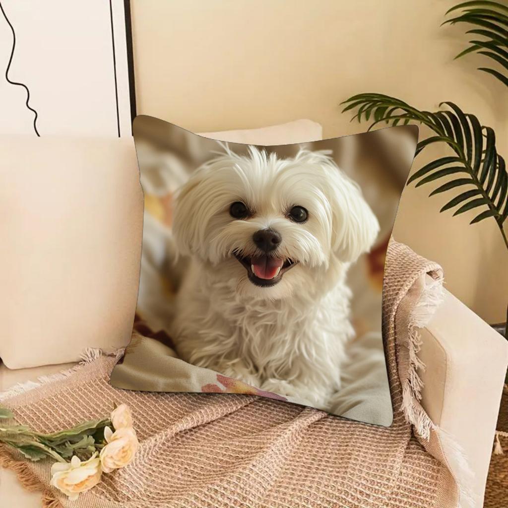 Weiße Malteser Hund Kissenbezüge Schlafzimmer Sofa Quadratische Kissenhülle Wohnzimmer Stuhl Kissenbezüge Innen Hausdekoration Geschenk