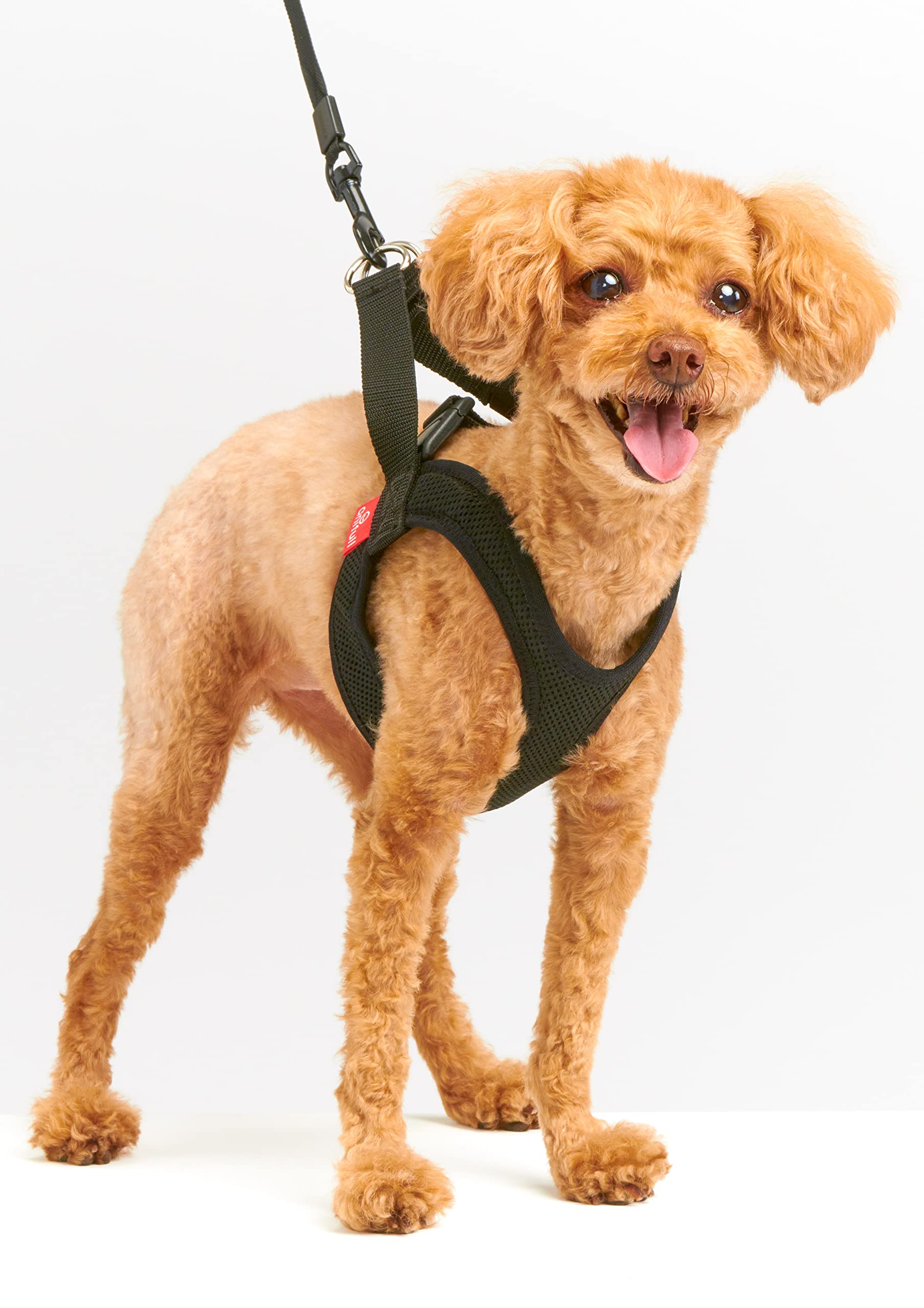 

Анифулл Анисапо Харест Черный Размер L чёрный