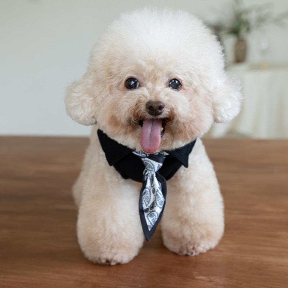 Autumn and Winter Pet Vest Cute Scarf Base Shirt Pet Teddy Solid Color Coat Puppy Clothes Dog Clothes for Small Dogs