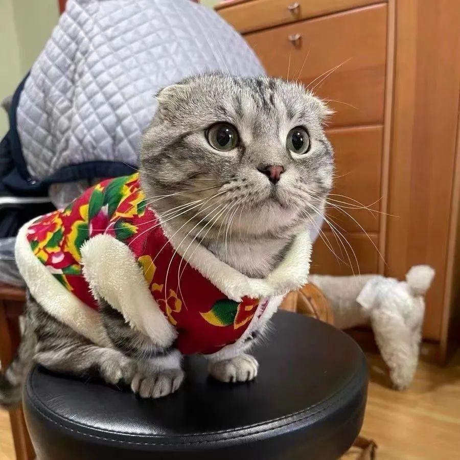 New Chinese Style Floral Cotton Clothes for Small Dogs & Cats - Autumn/Winter Wear