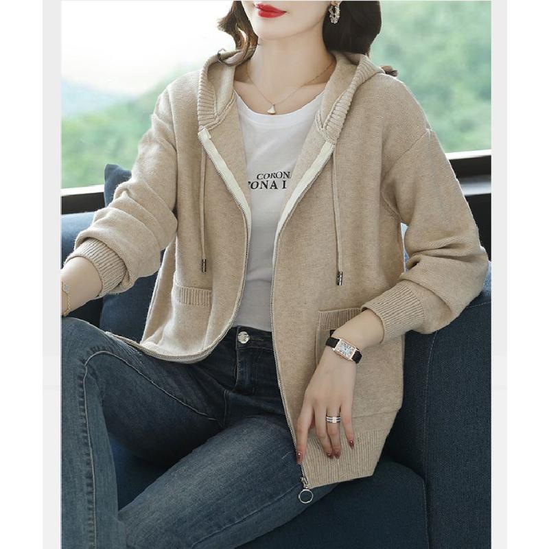 Imitation Lamb Wool Hooded Coat For Women Fall Winter Coat Button New Korean Style Small Loose Slimming And All-Matching Top