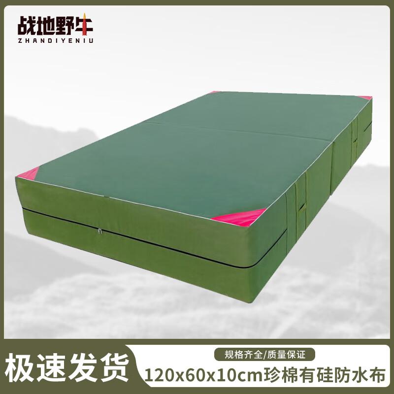 Battlefield Bison Gymnastics & Training Mat